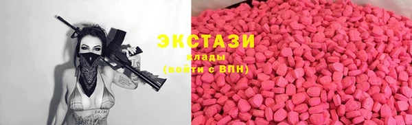 стаф Вязьма