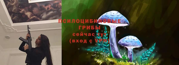 стаф Вязьма