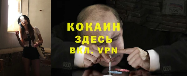 стаф Вязьма