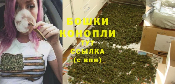 прущие грибы Вязники