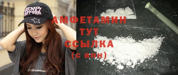 стаф Вязьма