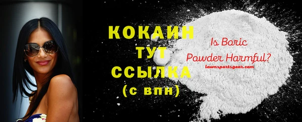 прущие грибы Вязники