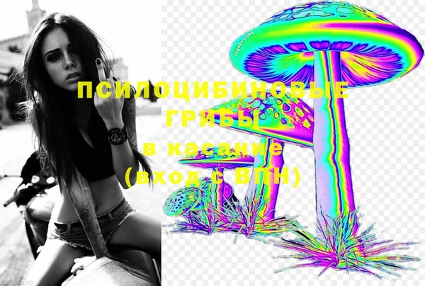 стаф Вязьма