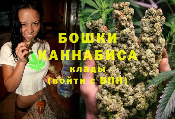 прущие грибы Вязники